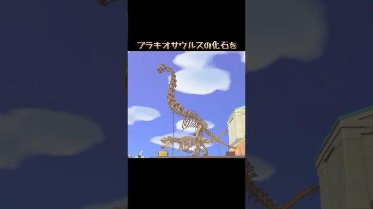 #あつまれどうぶつの森 #あつ森 #どうぶつの森 #小ネタ #小ネタ集 #小技 #ゲーム #ゲーム配信 #tiktok #switch #チャンネル登録と高評価お願いします
