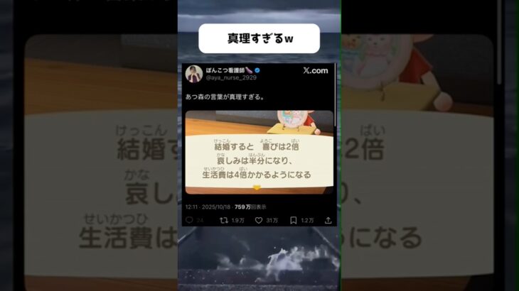 あつ森の言葉が真理すぎて草#tiktok #tiktokvideo #twitter #おすすめ #shorts