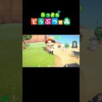 ムシとり大会での出来事   #あつ森#あつまれどうぶつの森#ゲーム実況#ゲーム