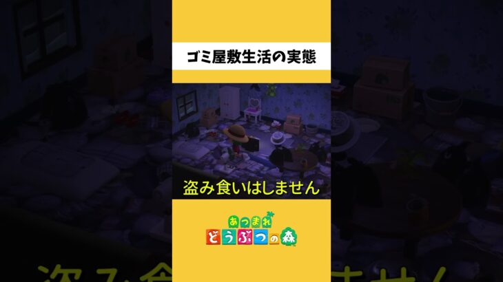 【あつ森】ゴミ屋敷住人の実態に迫る