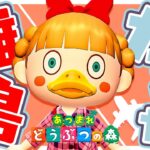 離島ガチャ✈️あの子を探して猛ダッシュします！【あつ森】