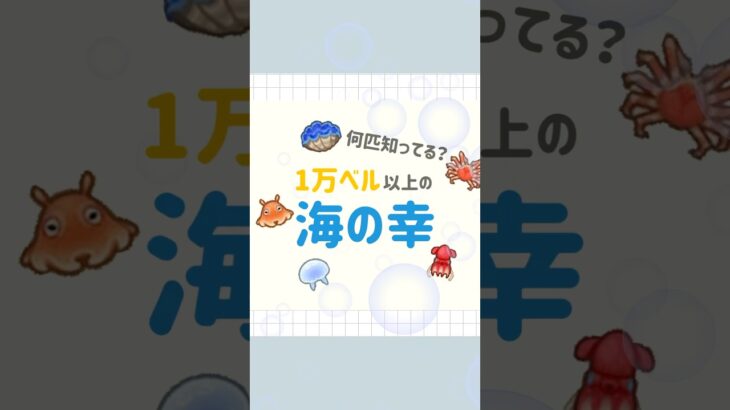 【あつ森】何匹知ってた⁉︎🫧１万ベル以上の海の幸！