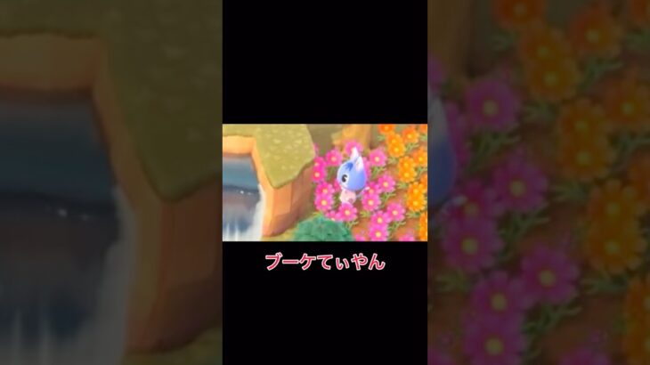 【あつ森】崖に￼向かって歌うブーケ🎤　#あつ森 #ブーケ