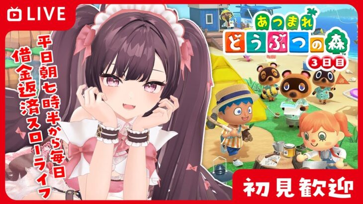 ☀初見さん歓迎✨朝から元気にあつ森！#あつまれどうぶつの森