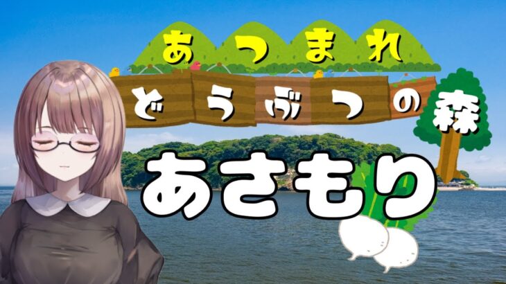 【あつまれ どうぶつの森】無人島の朝は早い【あつ森】
