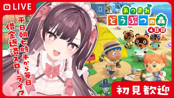 ☀初見さん歓迎✨朝から元気にあつ森！#あつまれどうぶつの森