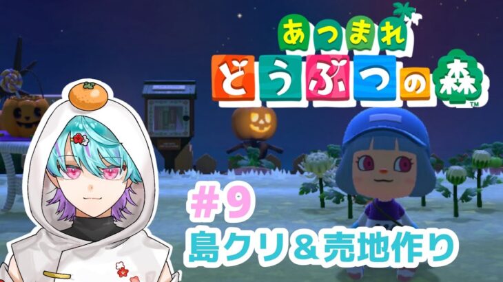 【あつ森】売地作り＆島作り！ まったり「もち森」ライフ！ ９日目