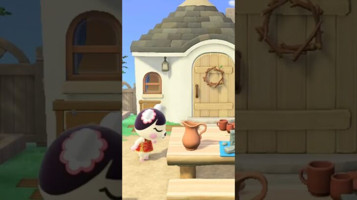 【あつ森】島クリしてたらヲシがきたぁー！！！
