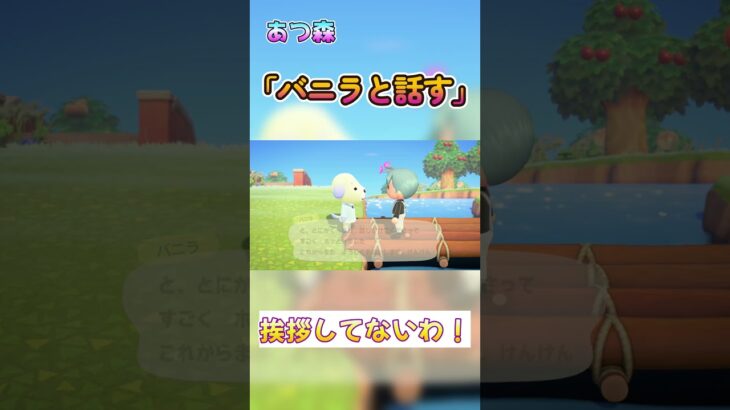 【あつ森】バニラと久しぶりにお話！いったい何か月ぶりなのか！？ #あつ森