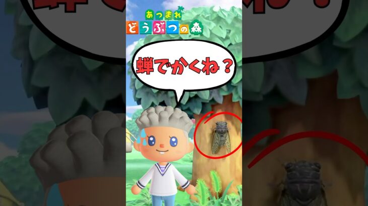 あつ森 ｜ 完全初見あつ森でツッコミ止まらんｗｗｗ