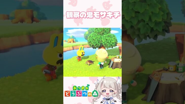 カメ観察系うさぎ #あつ森 #あつ森ライブ配信 #あつまれどうぶつの森