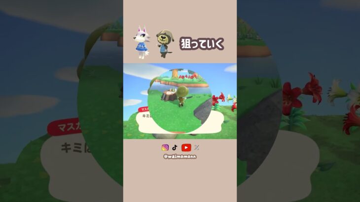 【あつ森】初期メンたもつとサヨナラした結果…🫖🫧