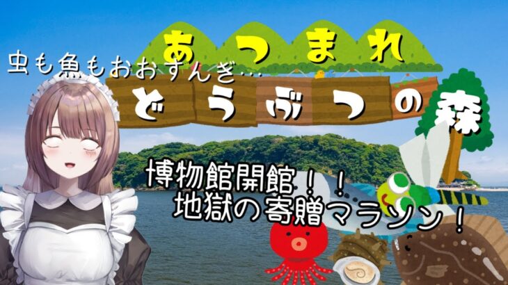 【あつまれ どうぶつの森】博物館の隣に生き物を捨てないでください【あつ森】