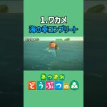 ワカメ、ゲットだぜ！【あつ森】【海の幸コンプ】