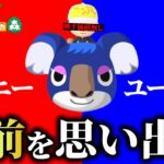 あつ森の離島ガチャで「格付けチェック」やってみたら面白すぎた