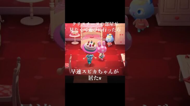 【あつ森】可愛いが渋滞 #あつ森 #スピカちゃん #クリスチーヌ