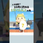 【あつ森】入手困難!?１万ベル以上のサカナ🐟