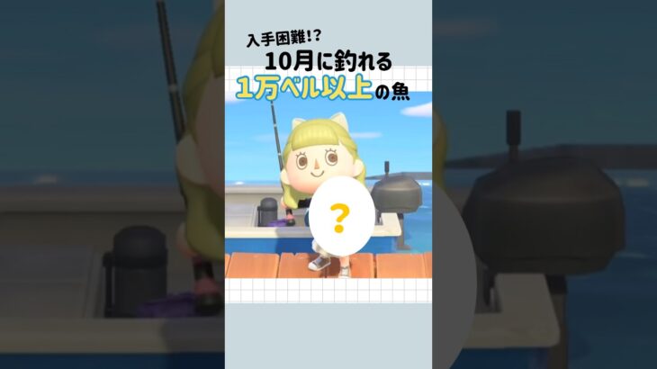 【あつ森】入手困難!?１万ベル以上のサカナ🐟