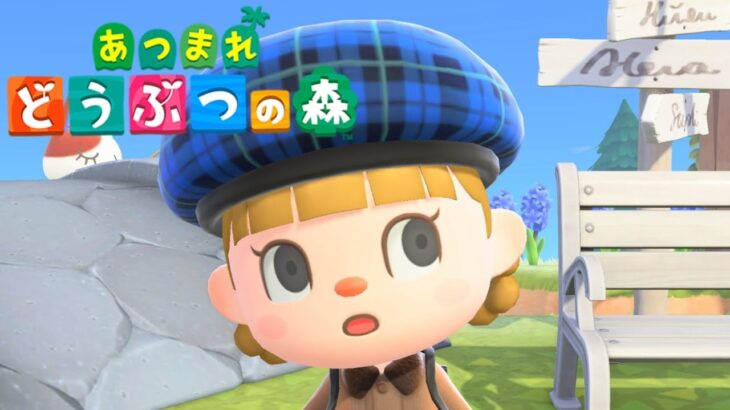 こんにちは。まったり島生活【あつまれどうぶつの森】【生配信】
