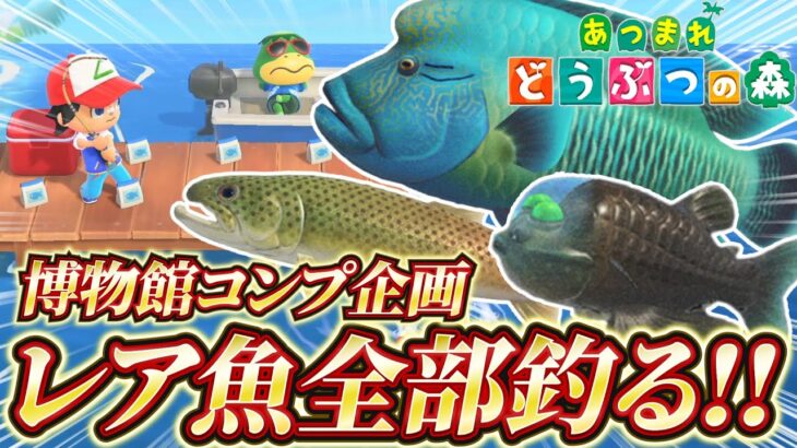 デメニギス＆イトウを釣って博物館さかなコンプするぞ！！【あつまれどうぶつの森】