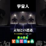 【あつ森】宇宙人が出てくる別荘が凄すぎる