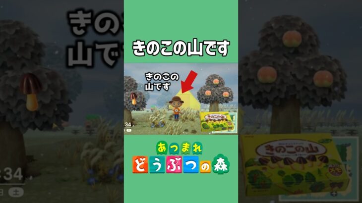 きのこの山です！【あつ森】