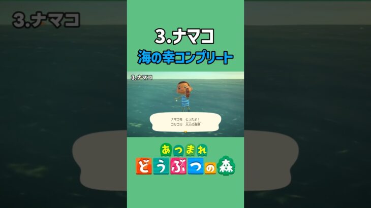 ナマコ、ゲットだぜ！【あつ森】