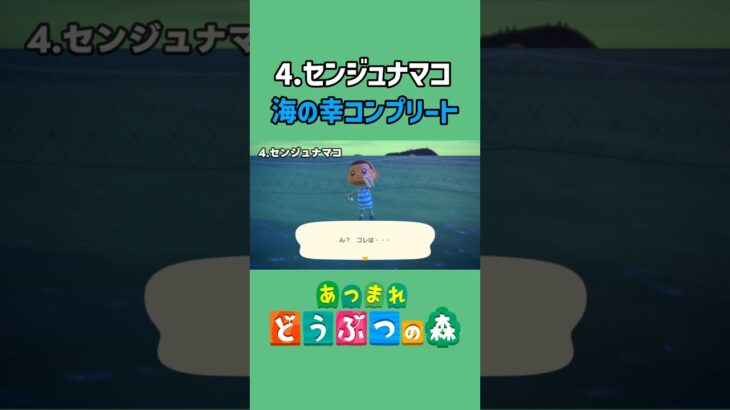 センジュナマコ、ゲットだぜ！【あつ森】