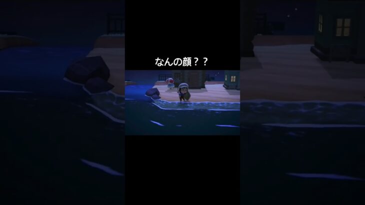 いるか？ヒラメ[あつ森]