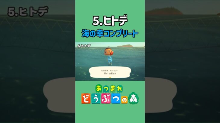 ヒトデ、ゲットだぜ！【あつ森】