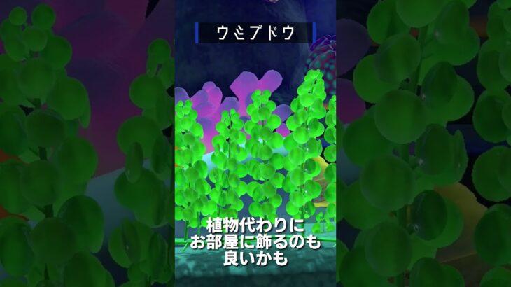 【あつ森】海の幸図鑑│ウミブドウ🍇