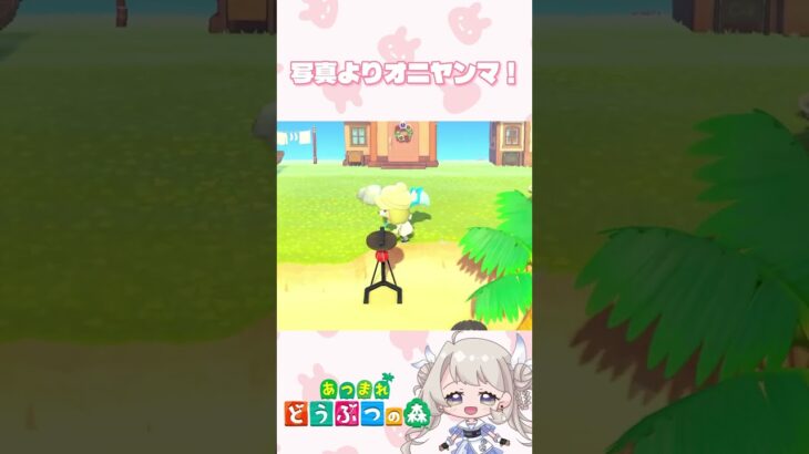 写真よりオニヤンマ！ #あつ森 #あつ森ライブ配信 #あつまれどうぶつの森
