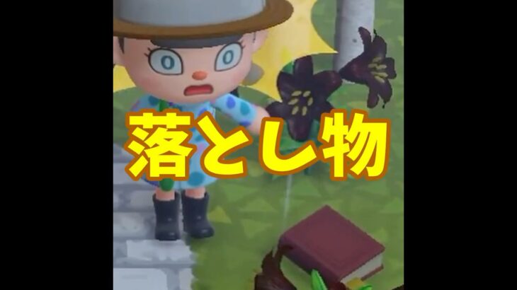 【あつ森】大雨の中・・本があるよ！？！？#あつ森 #あつまれどうぶつの森 #実況