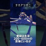【あつ森】海の幸図鑑│タカアシガニ🦀