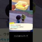 【あつ森】ペットのベッドで情緒乱される坊主 #あつ森 #ゲーム実況