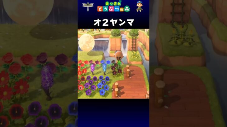 【あつ森】オ２ヤンマ