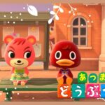 【あつ森】初見さん大歓迎！まったりまったり