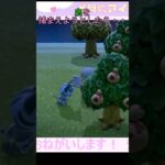 虫を捕まえようとしたら…　#ゲーム配信 #あつ森 #あつまれどうぶつの森 #ゲーム実況