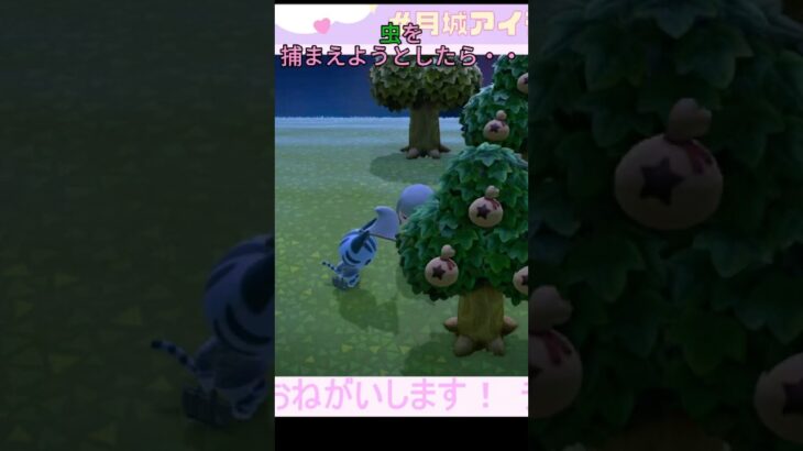 虫を捕まえようとしたら…　#ゲーム配信 #あつ森 #あつまれどうぶつの森 #ゲーム実況