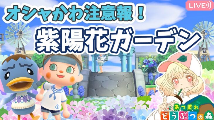 【あつ森】ナッキーの自宅島クリ｜紫陽花ガーデンを作る🩵｜ライブ【あつまれどうぶつの森】