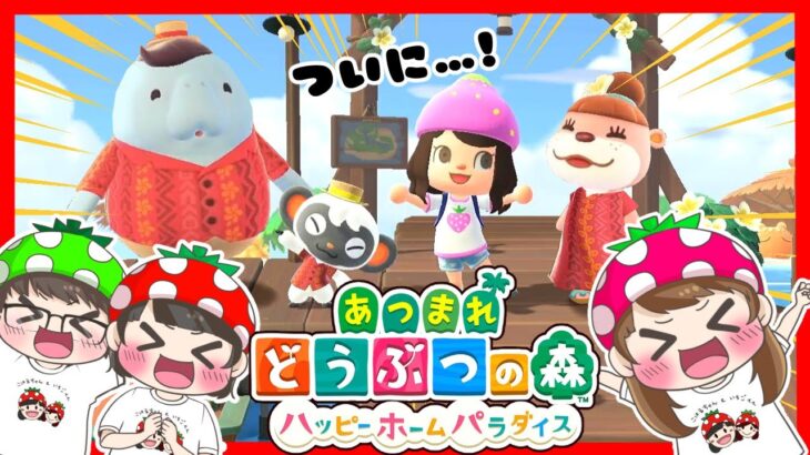 【あつ森】こっちゃん、新人コーディネータになる！🏠初めてのハピパラ実況でわくわくが止まらない～！　【あつまれどうぶつの森/ハッピーホームパラダイス】