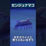 【あつ森】海の幸図鑑│センジュナマコ