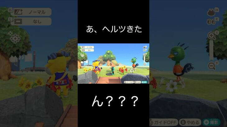 【あつ森】ツッコミどころが多かった日の様子。