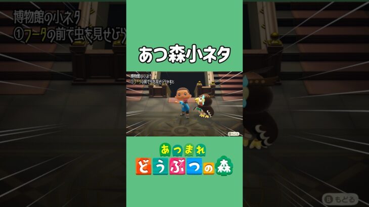 フータに虫を見せびらかすと【あつ森】