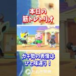 【あつ森】本日の筋トレトリオ✨