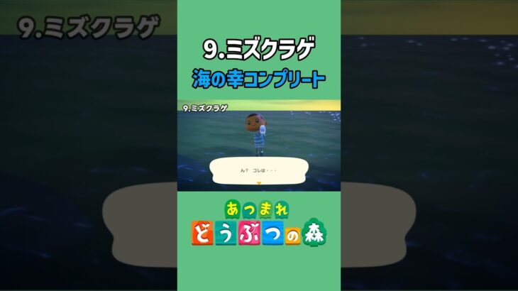 ミズクラゲ、ゲットだぜ！【あつ森】
