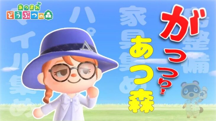 【あつ森】忙しいサブ島生活