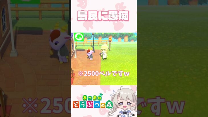 やさおくんに愚痴 #あつ森 #あつ森ライブ配信 #あつまれどうぶつの森