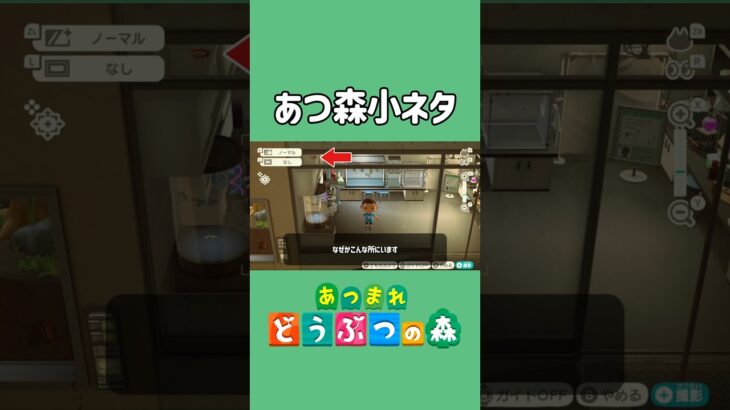 ムカデは夜になると【あつ森】
