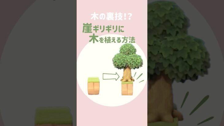 【あつ森】必見！崖ギリギリに木を植える方法！